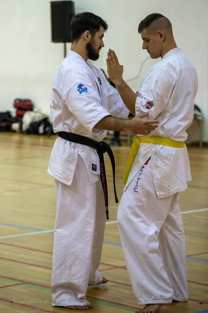 Shihan Sergei Vsevolodov Szeminárium
