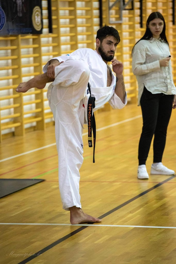 Shihan Sergei Vsevolodov Szeminárium