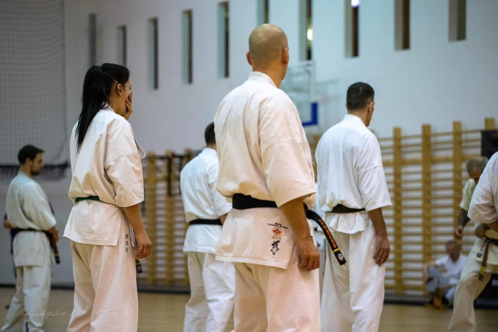 Shihan Sergei Vsevolodov Szeminárium