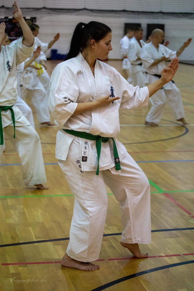 Shihan Sergei Vsevolodov Szeminárium