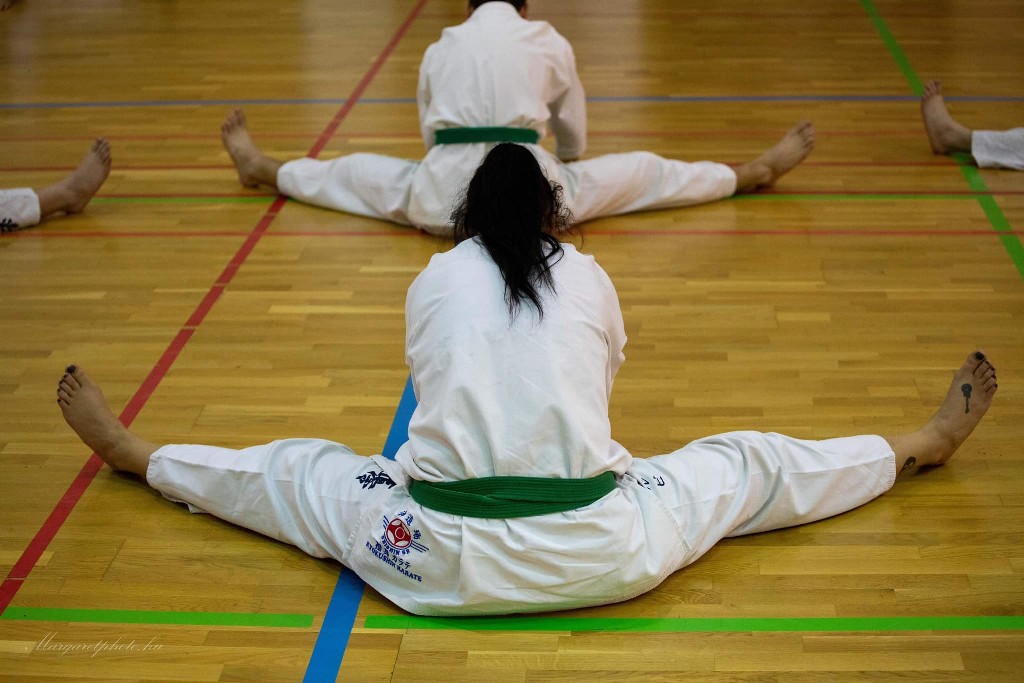 Shihan Sergei Vsevolodov Szeminárium