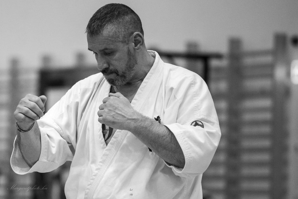 Shihan Sergei Vsevolodov Szeminárium