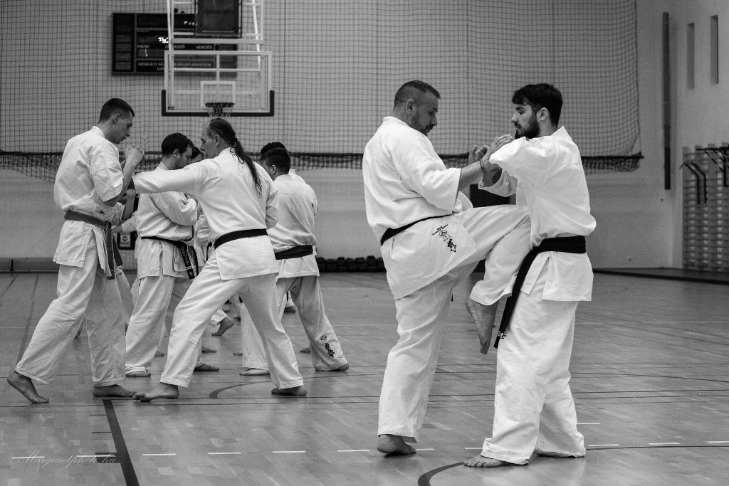 Shihan Sergei Vsevolodov Szeminárium