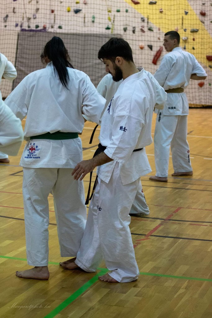 Shihan Sergei Vsevolodov Szeminárium