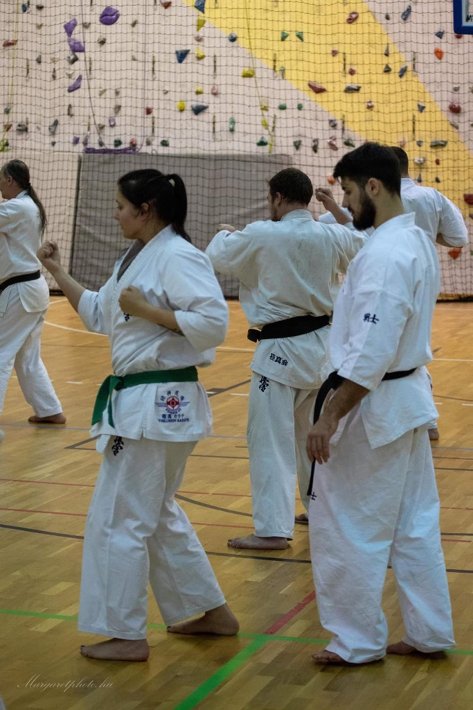 Shihan Sergei Vsevolodov Szeminárium