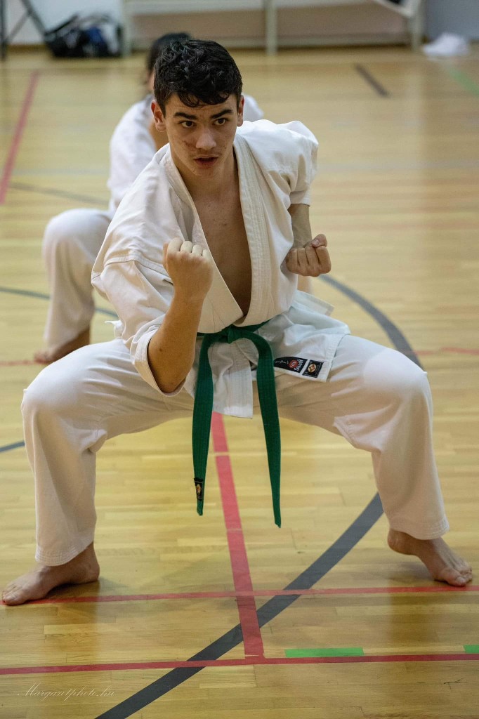 Shihan Sergei Vsevolodov Szeminárium