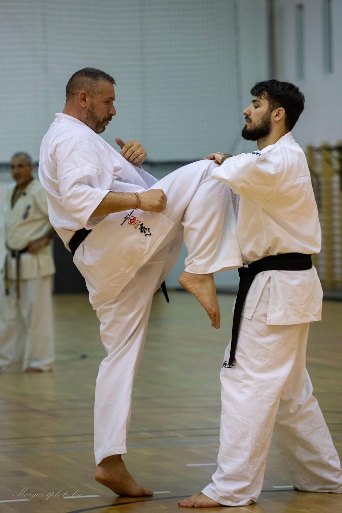 Shihan Sergei Vsevolodov Szeminárium