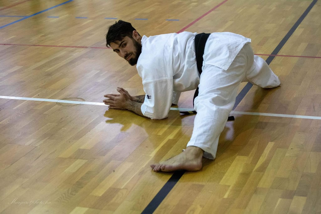 Shihan Sergei Vsevolodov Szeminárium