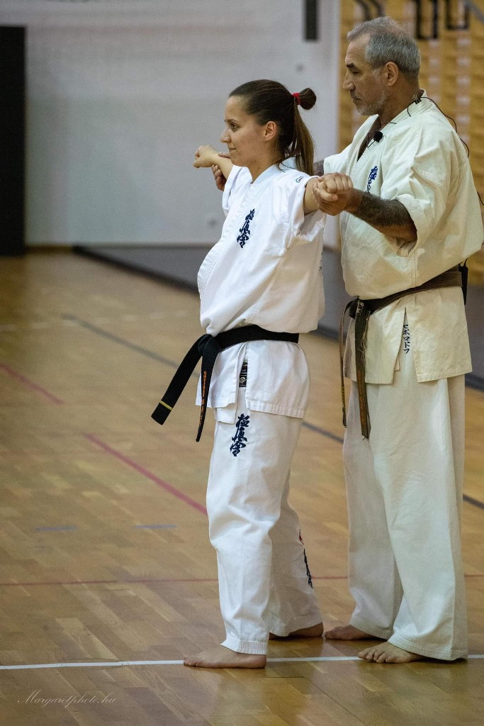 Shihan Sergei Vsevolodov Szeminárium