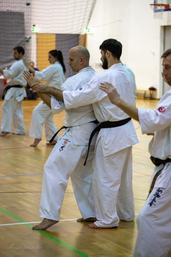 Shihan Sergei Vsevolodov Szeminárium