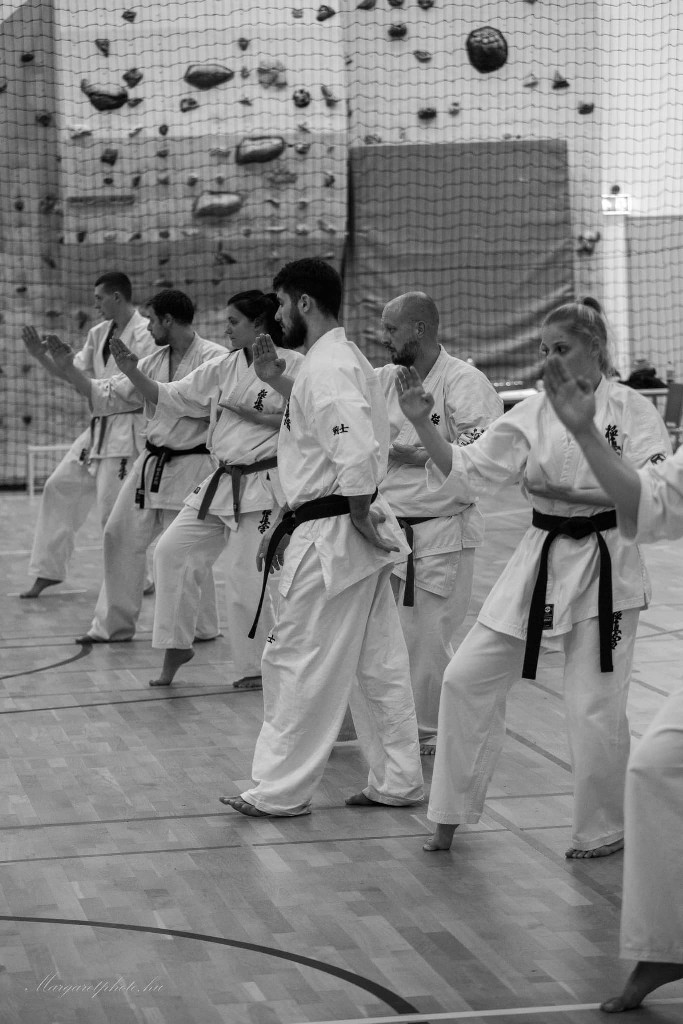 Shihan Sergei Vsevolodov Szeminárium