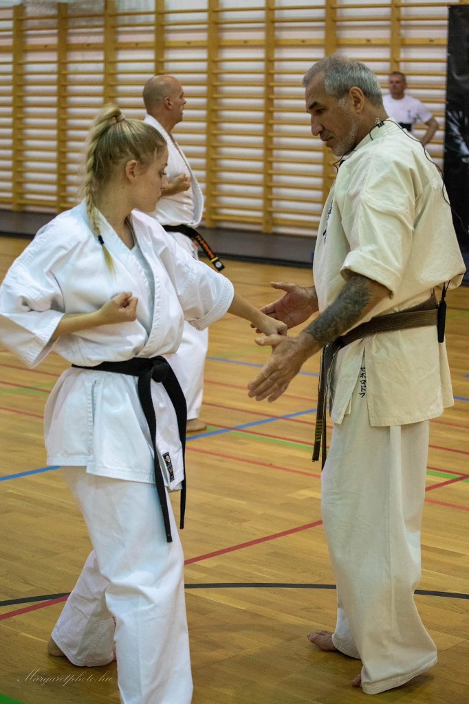 Shihan Sergei Vsevolodov Szeminárium