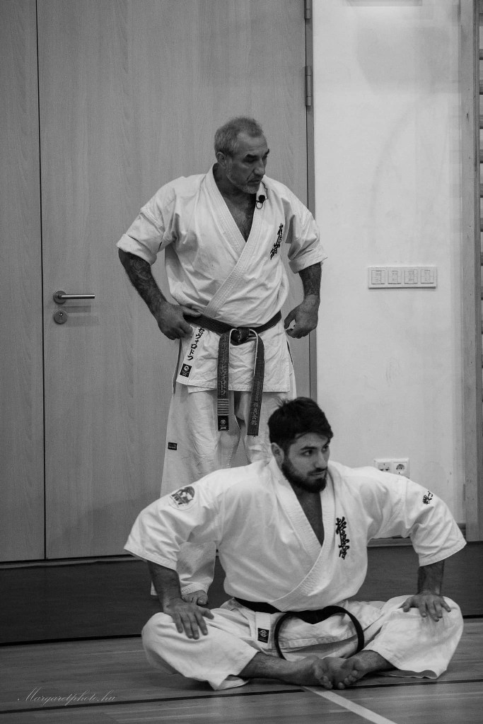 Shihan Sergei Vsevolodov Szeminárium