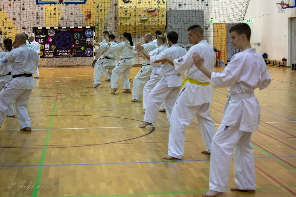 Shihan Sergei Vsevolodov Szeminárium