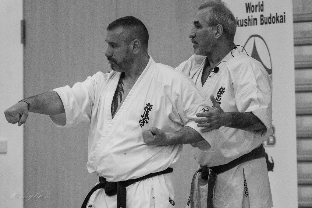 Shihan Sergei Vsevolodov Szeminárium