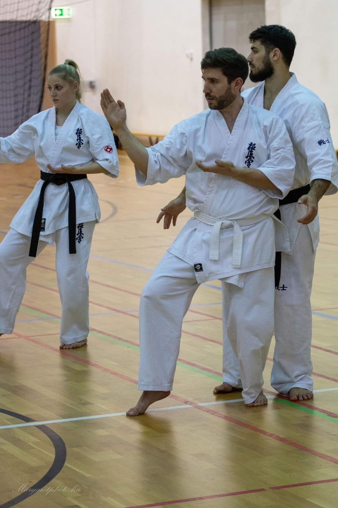 Shihan Sergei Vsevolodov Szeminárium