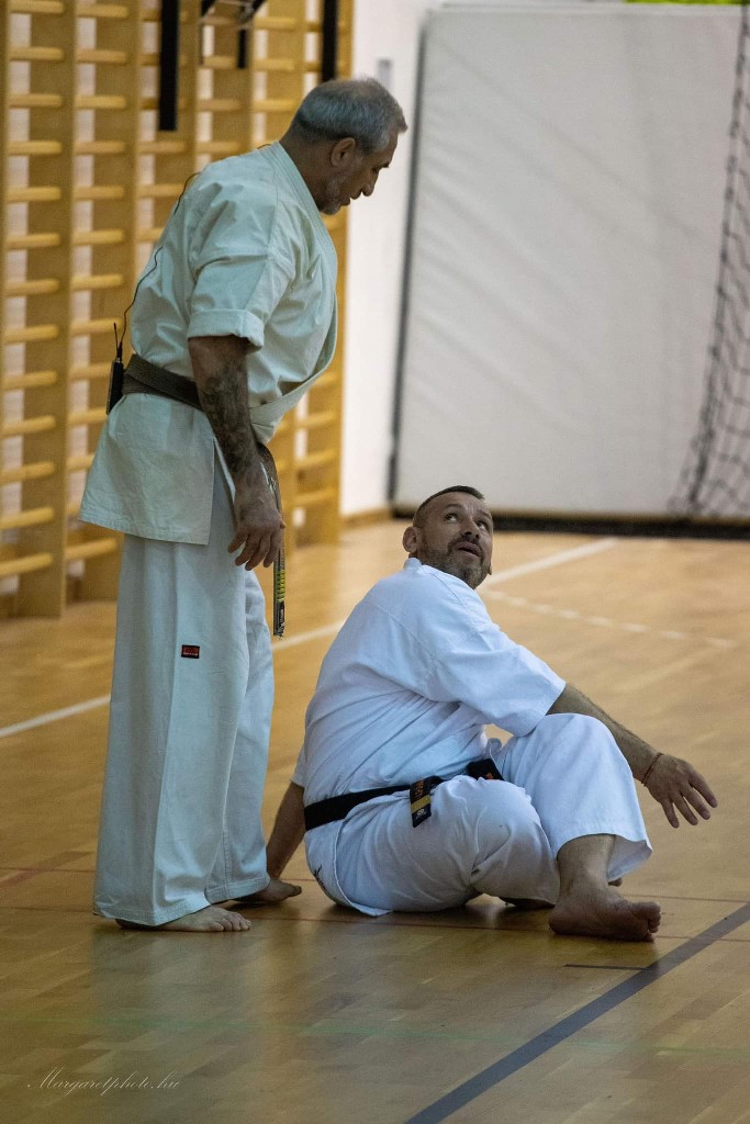 Shihan Sergei Vsevolodov Szeminárium