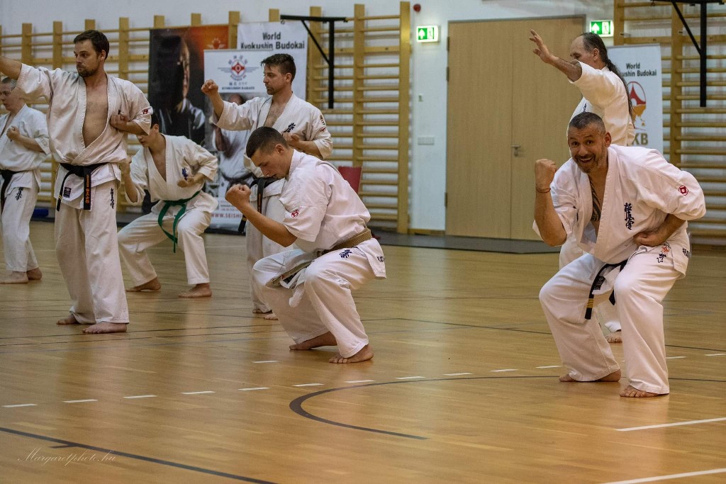 Shihan Sergei Vsevolodov Szeminárium