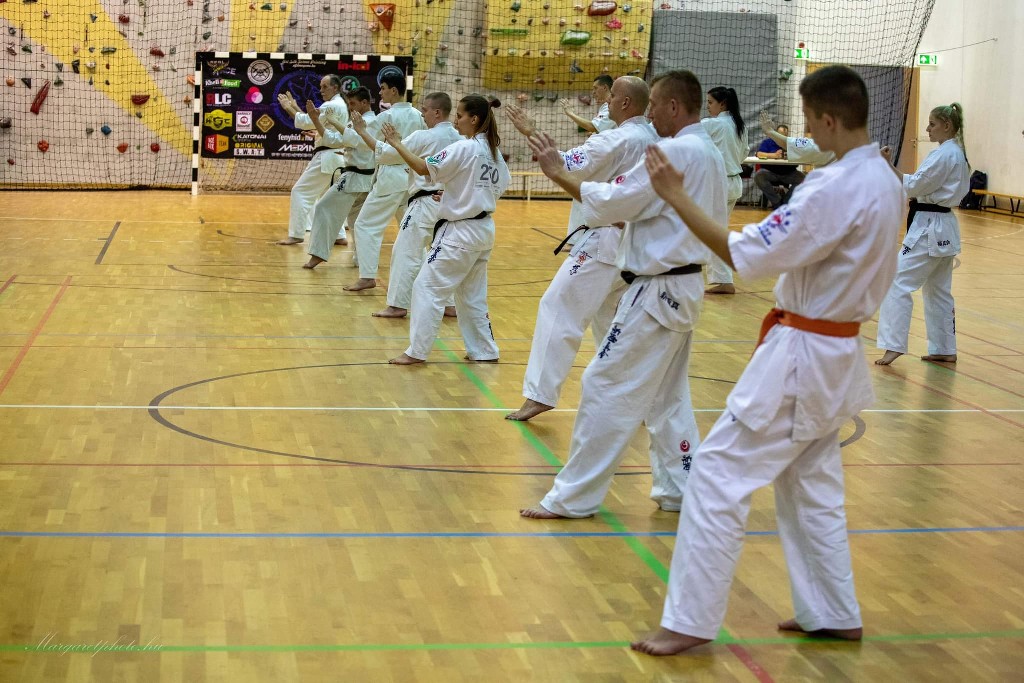 Shihan Sergei Vsevolodov Szeminárium