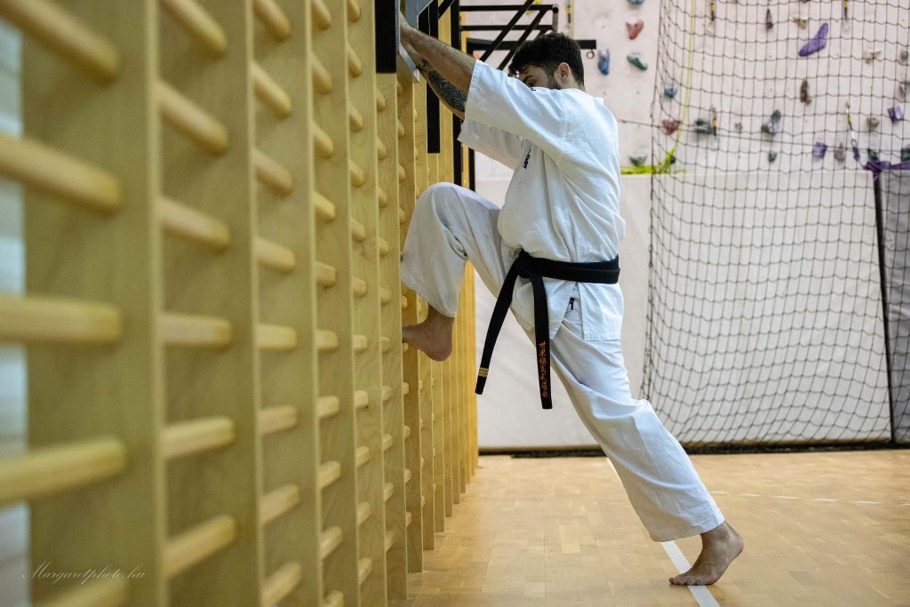 Shihan Sergei Vsevolodov Szeminárium