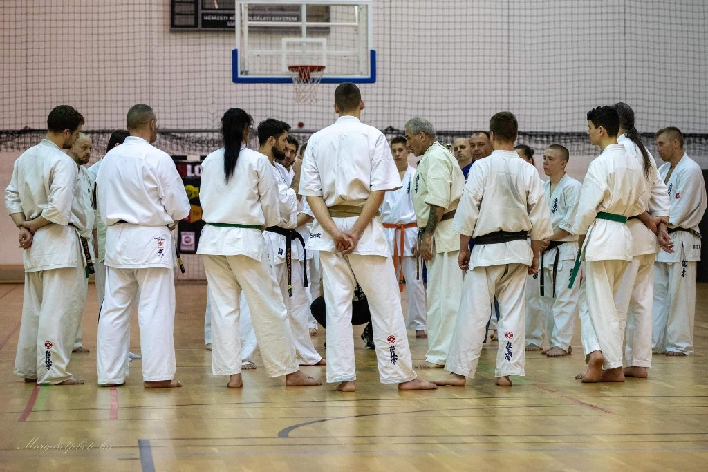 Shihan Sergei Vsevolodov Szeminárium