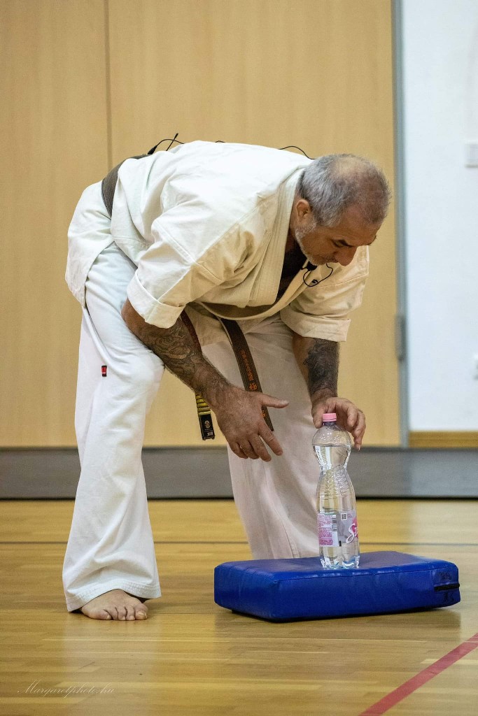 Shihan Sergei Vsevolodov Szeminárium