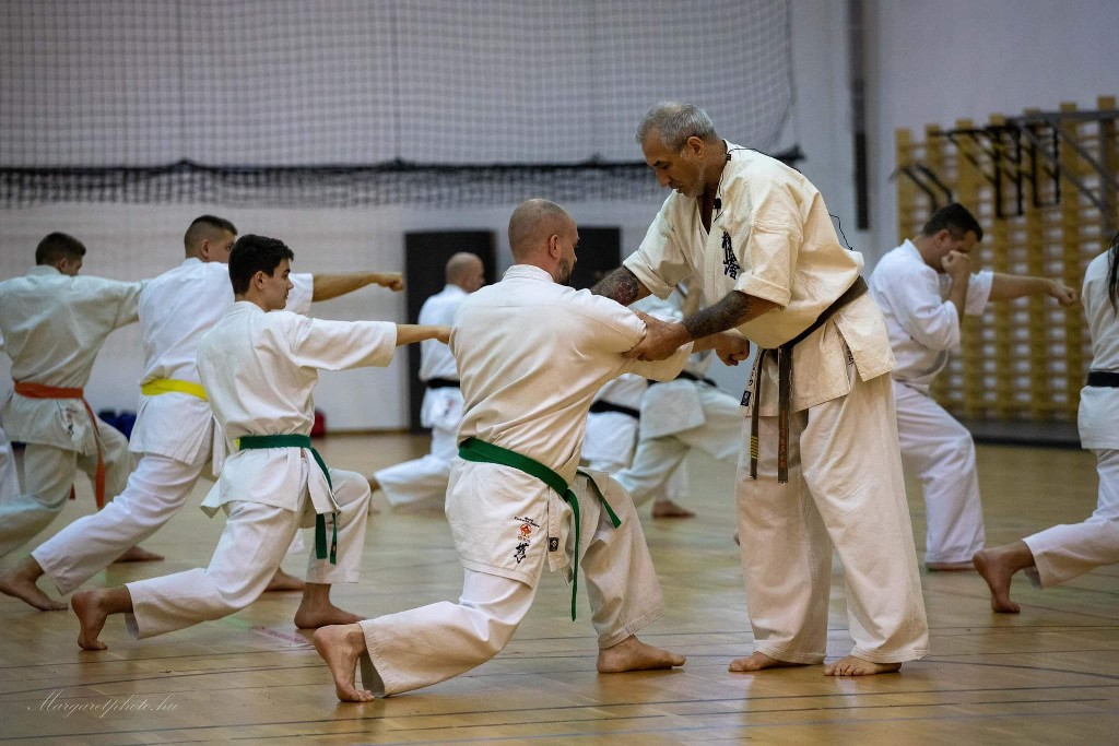 Shihan Sergei Vsevolodov Szeminárium