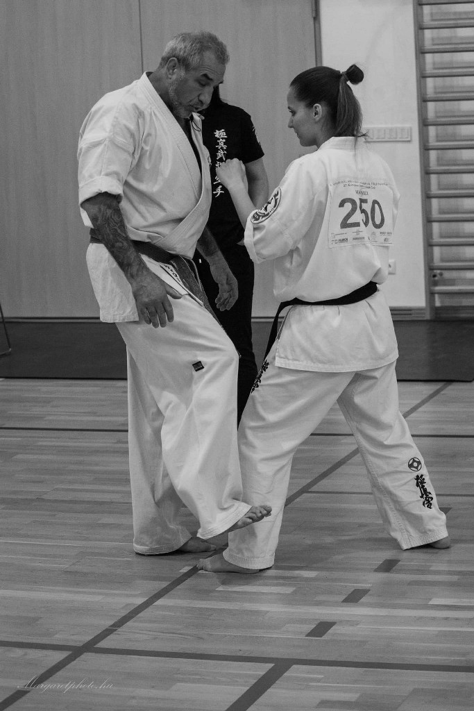 Shihan Sergei Vsevolodov Szeminárium