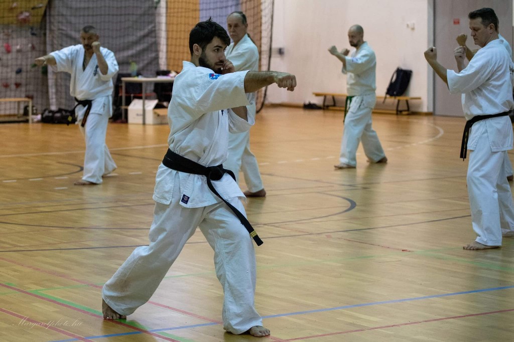 Shihan Sergei Vsevolodov Szeminárium