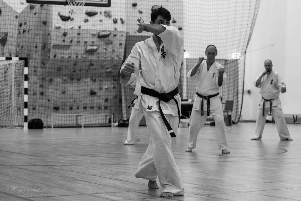 Shihan Sergei Vsevolodov Szeminárium