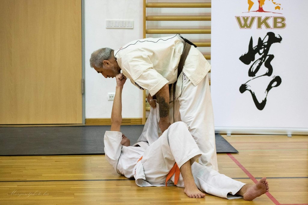 Shihan Sergei Vsevolodov Szeminárium