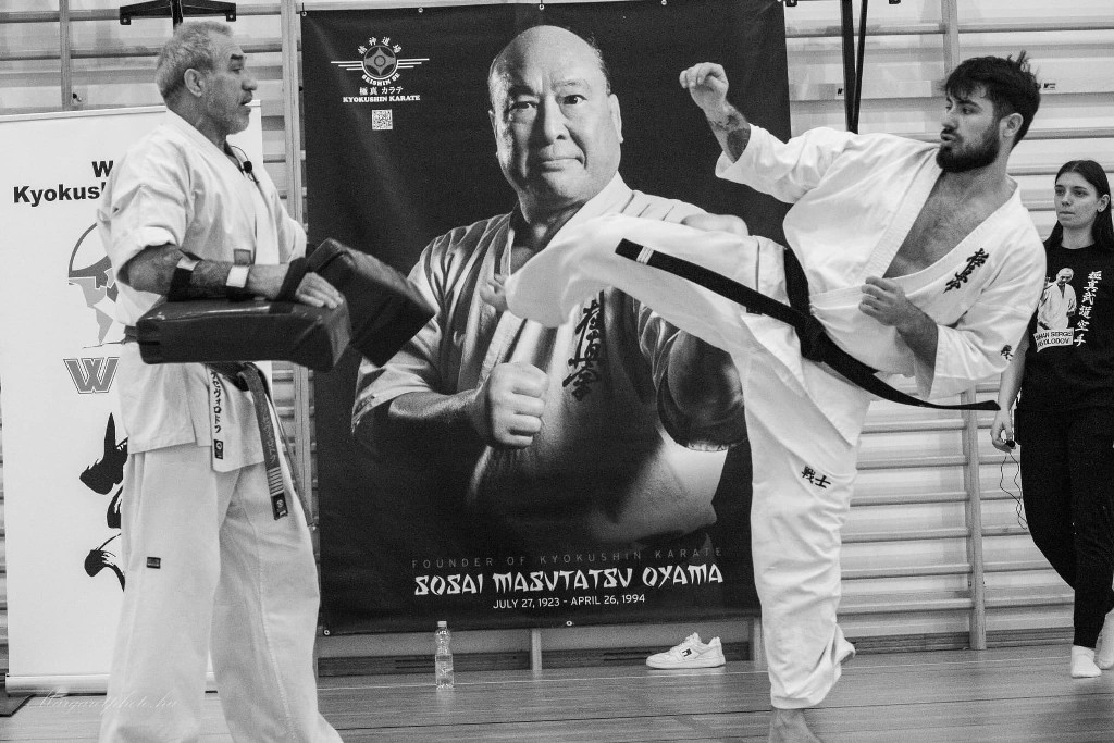 Shihan Sergei Vsevolodov Szeminárium