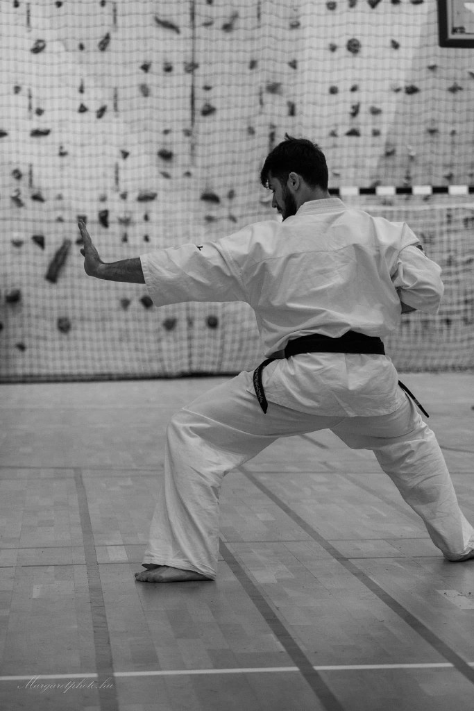 Shihan Sergei Vsevolodov Szeminárium