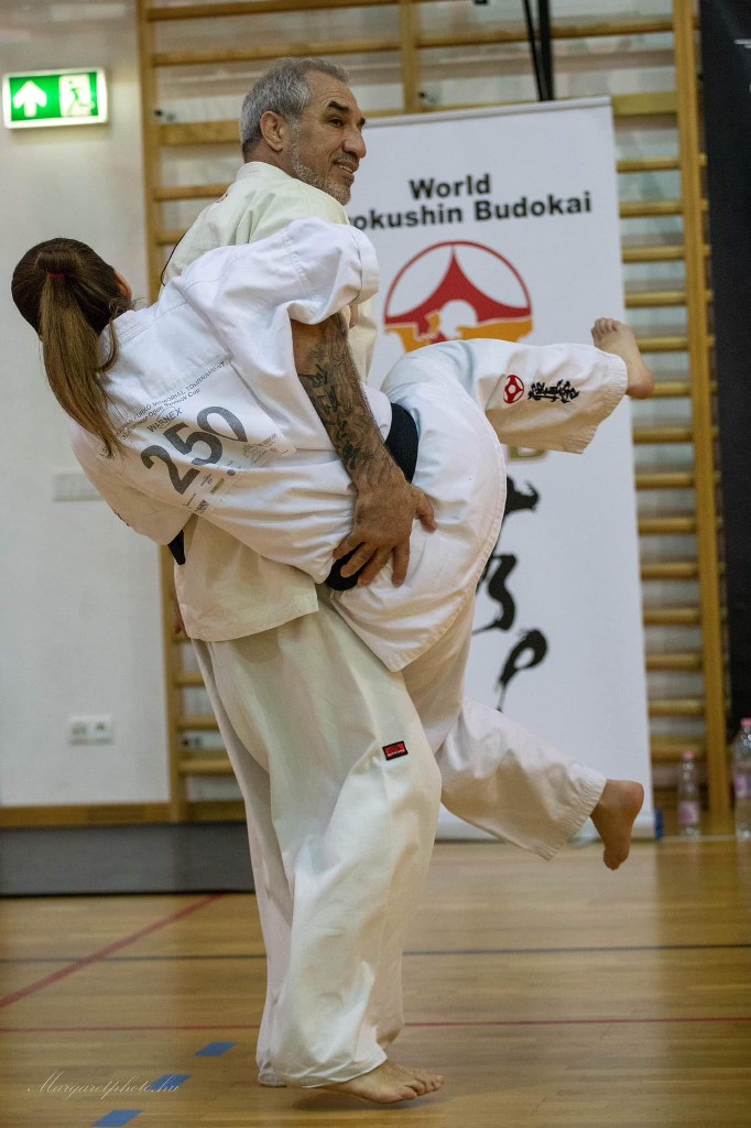 Shihan Sergei Vsevolodov Szeminárium