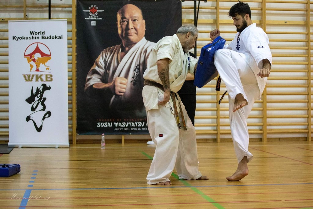 Shihan Sergei Vsevolodov Szeminárium