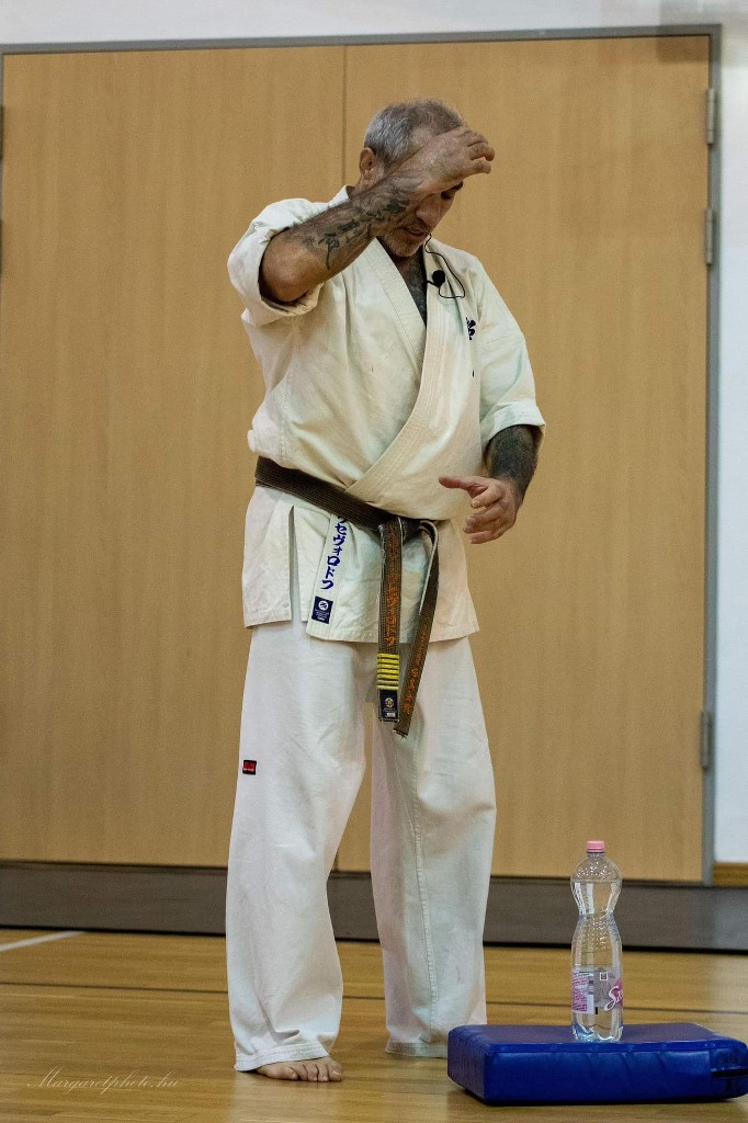 Shihan Sergei Vsevolodov Szeminárium