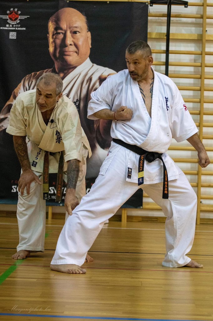 Shihan Sergei Vsevolodov Szeminárium
