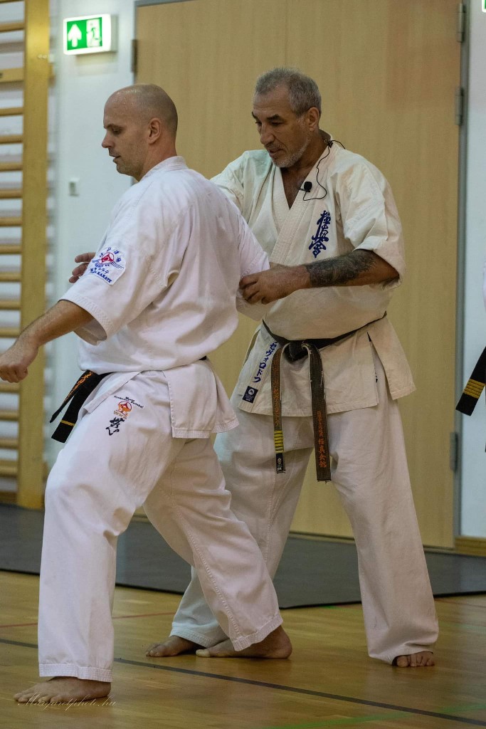 Shihan Sergei Vsevolodov Szeminárium