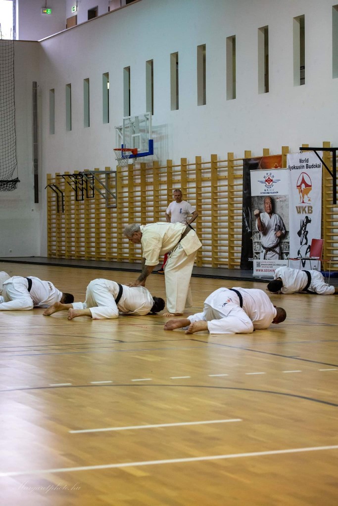 Shihan Sergei Vsevolodov Szeminárium