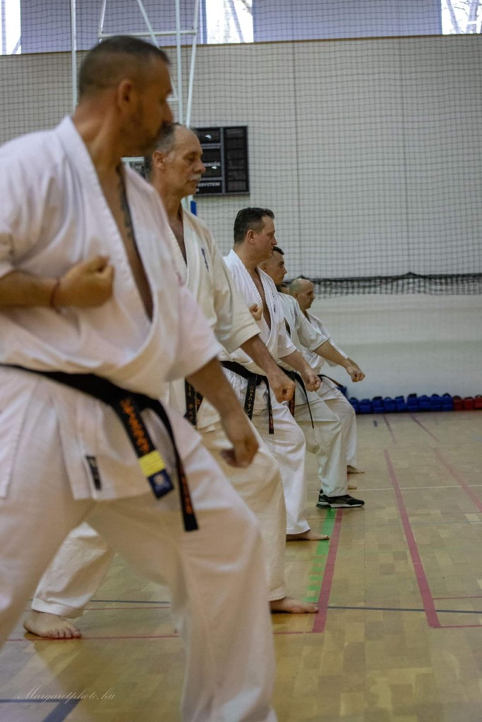 Shihan Sergei Vsevolodov Szeminárium