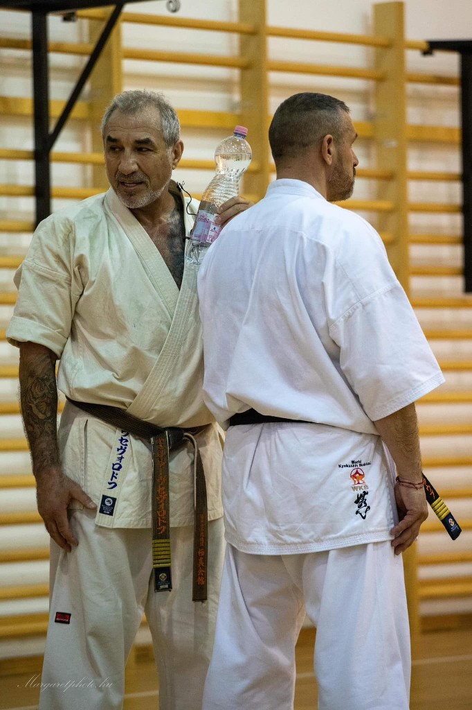Shihan Sergei Vsevolodov Szeminárium