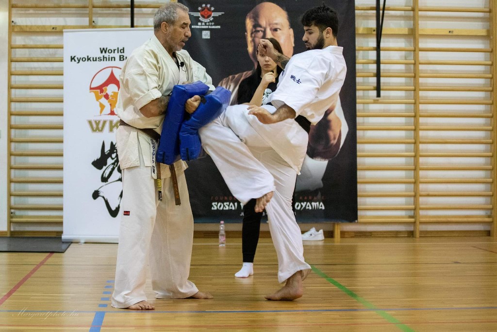 Shihan Sergei Vsevolodov Szeminárium