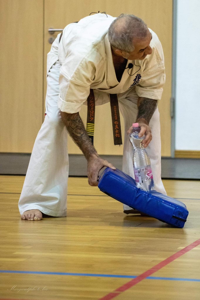 Shihan Sergei Vsevolodov Szeminárium