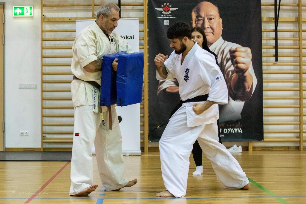 Shihan Sergei Vsevolodov Szeminárium