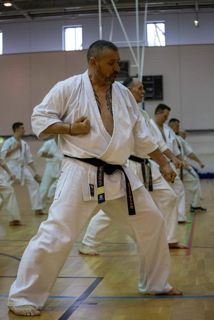 Shihan Sergei Vsevolodov Szeminárium