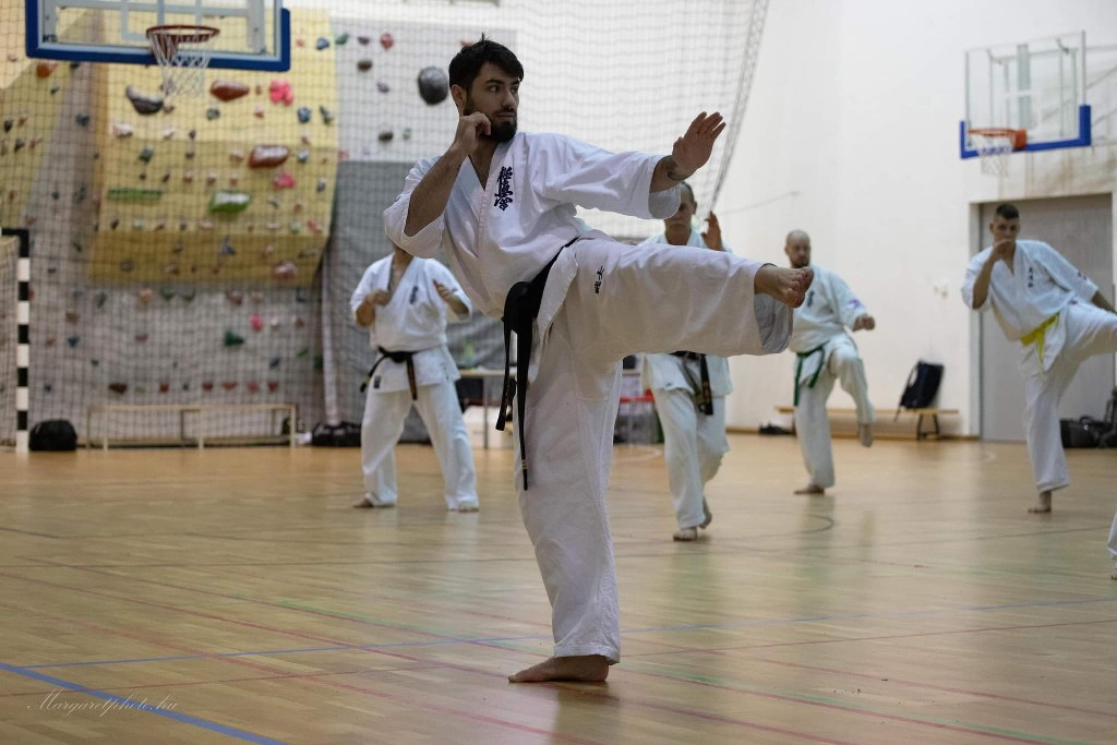 Shihan Sergei Vsevolodov Szeminárium