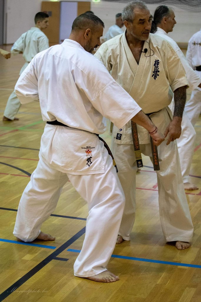 Shihan Sergei Vsevolodov Szeminárium