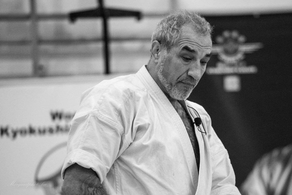 Shihan Sergei Vsevolodov Szeminárium