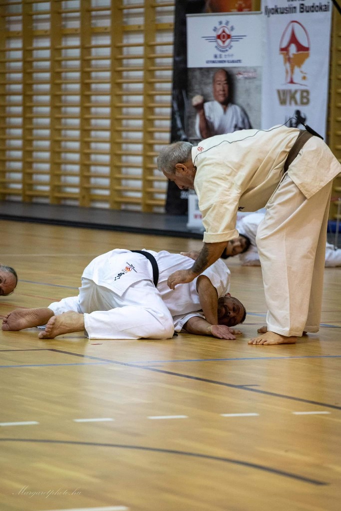 Shihan Sergei Vsevolodov Szeminárium