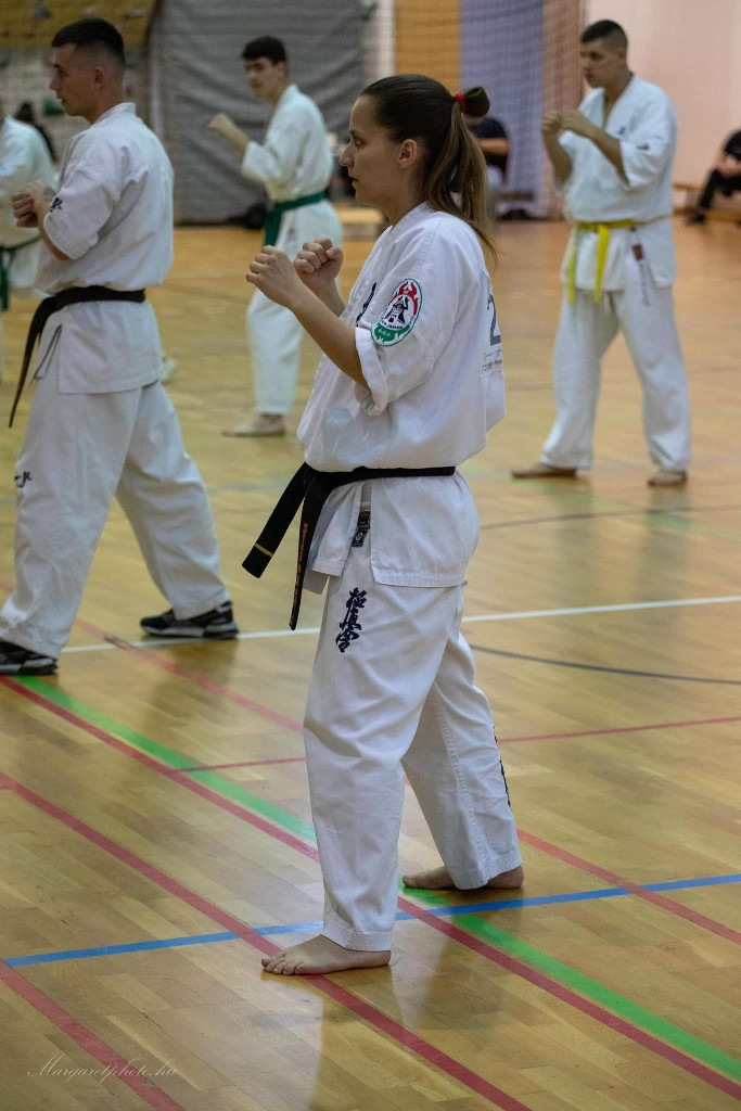 Shihan Sergei Vsevolodov Szeminárium